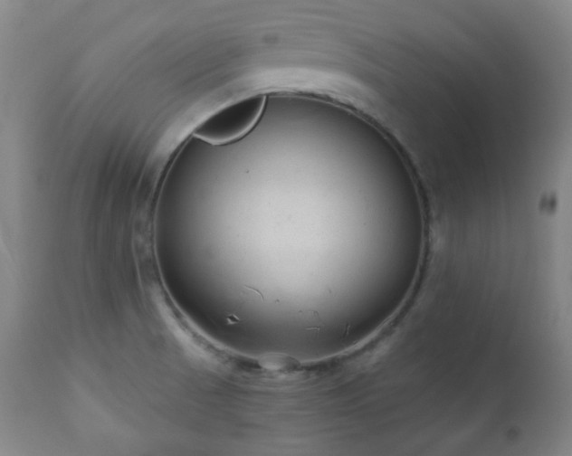 X0000110961521200906191259