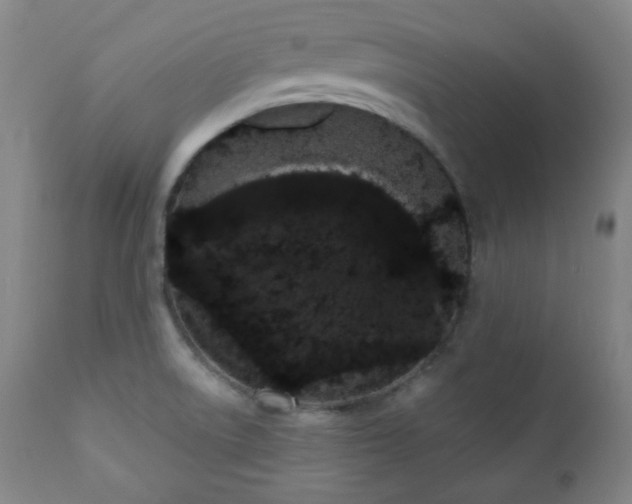 X0000110961522200906191259