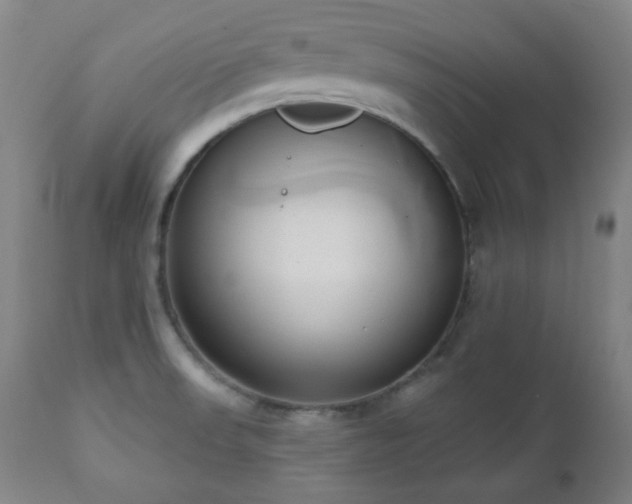 X0000110961523200906191259