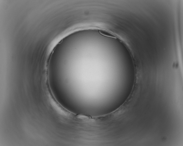 X0000110961524200906191259