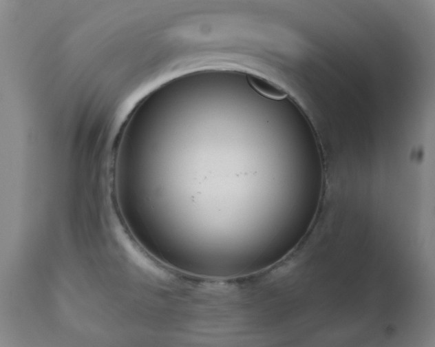 X0000110961526200906191259