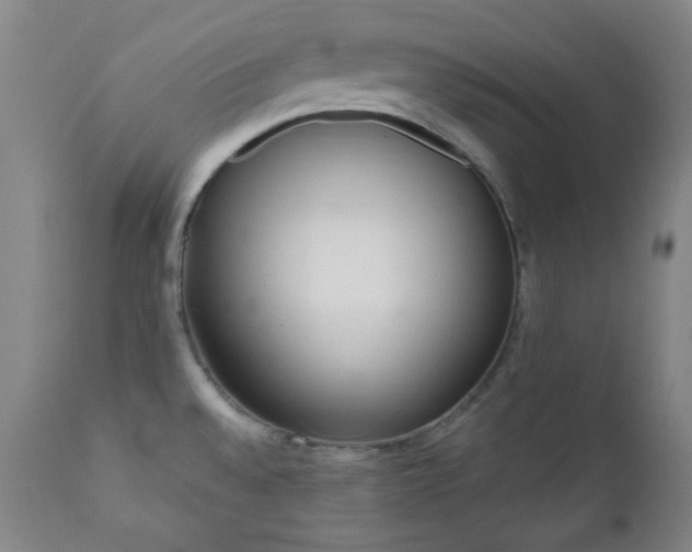 X0000110961528200906191259