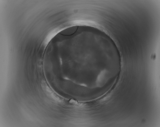 X0000110961529200906191259