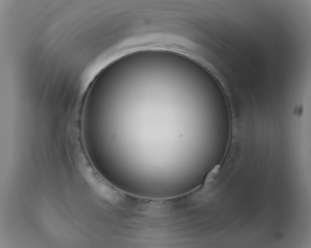 X0000110961530200906191259