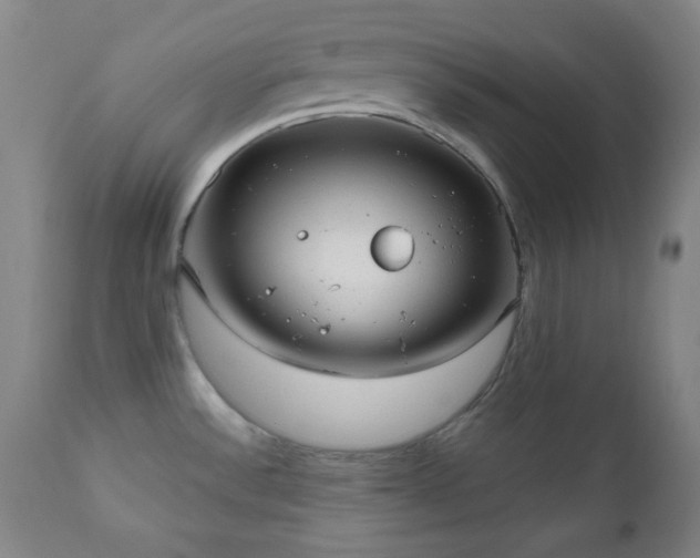 X0000110961532200906191259