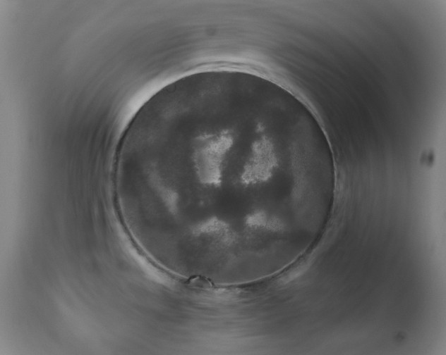X0000110961533200906191259