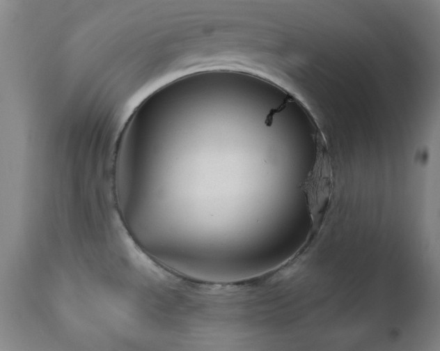 X0000110961534200906191259