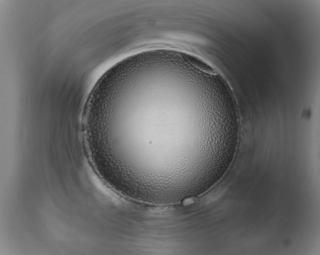 X0000110961535200906191259