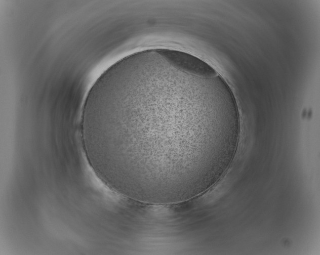 X0000110961536200906191300