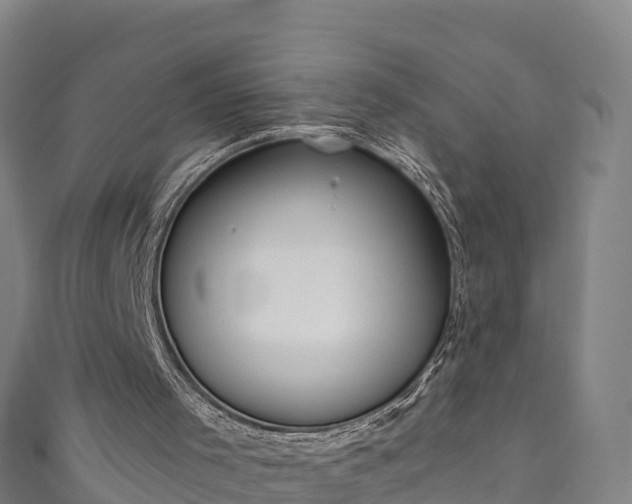 X0000110960001200906261351