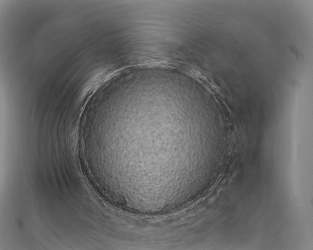 X0000110960002200906261351