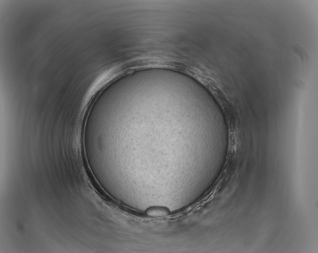 X0000110960004200906261351