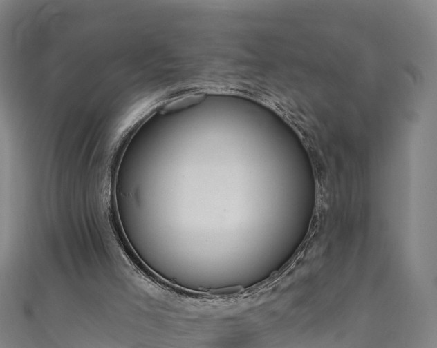 X0000110960005200906261351