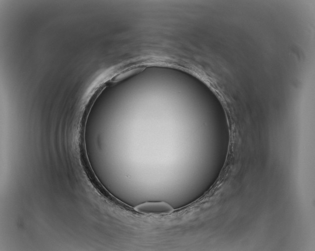 X0000110960007200906261351