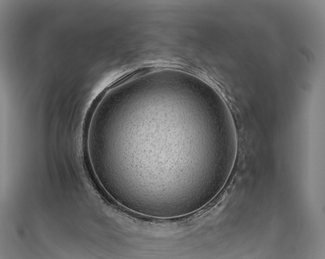 X0000110960008200906261351