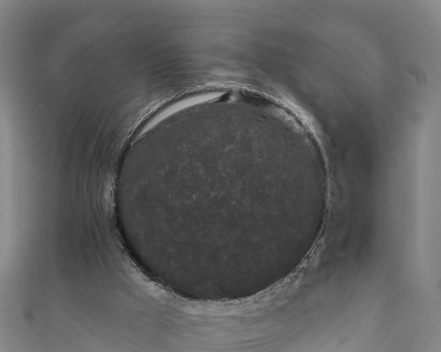 X0000110960009200906261351