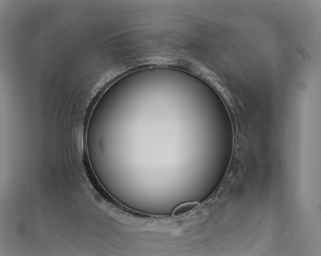 X0000110960011200906261351