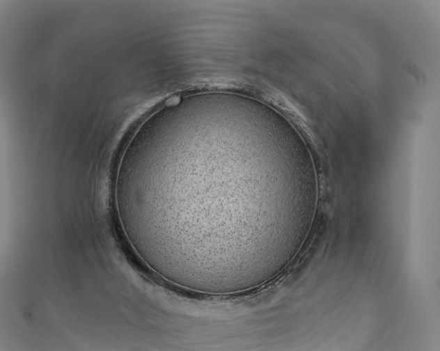 X0000110960012200906261351