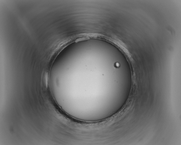 X0000110960013200906261351