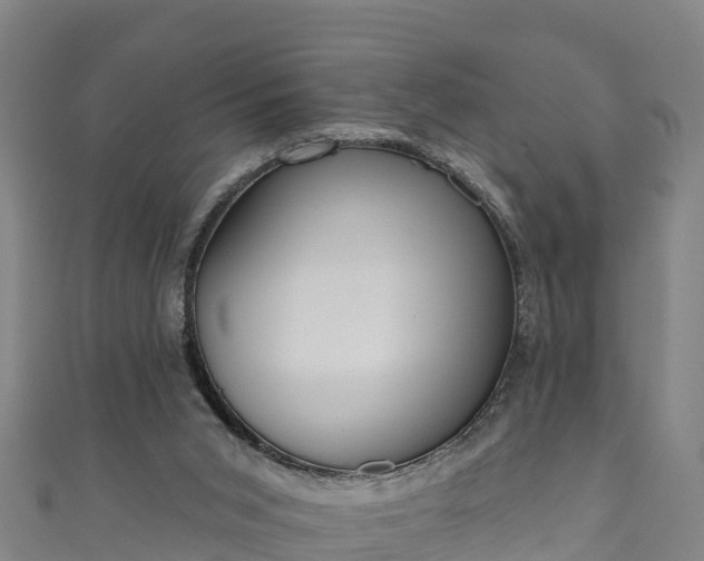 X0000110960015200906261351