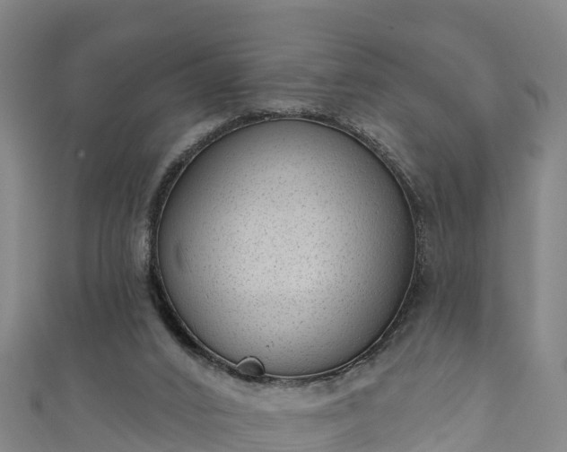 X0000110960016200906261351