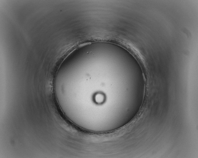 X0000110960017200906261351