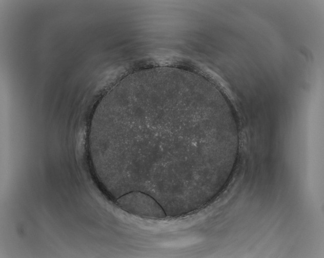 X0000110960018200906261351