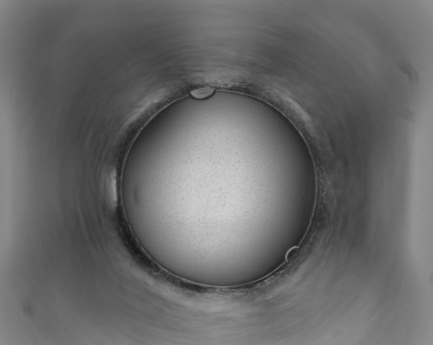 X0000110960020200906261351