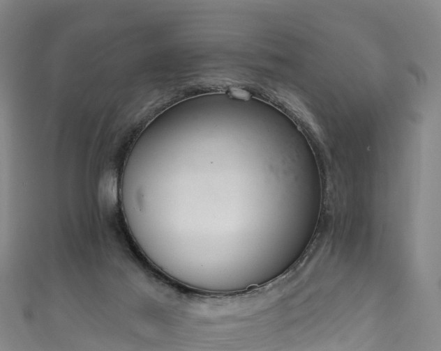 X0000110960021200906261351