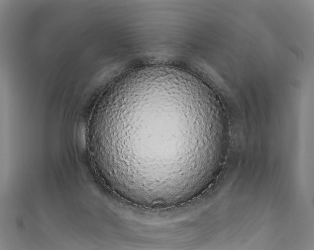 X0000110960022200906261351