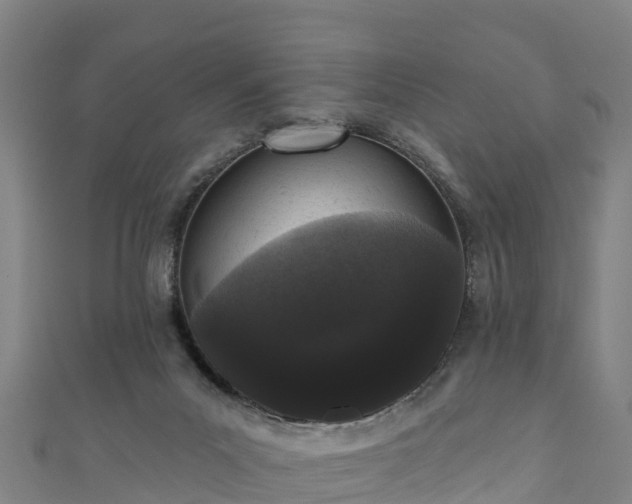 X0000110960023200906261351