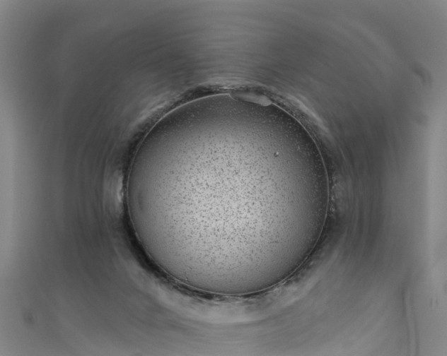 X0000110960024200906261351