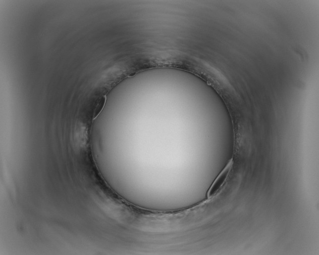 X0000110960025200906261351