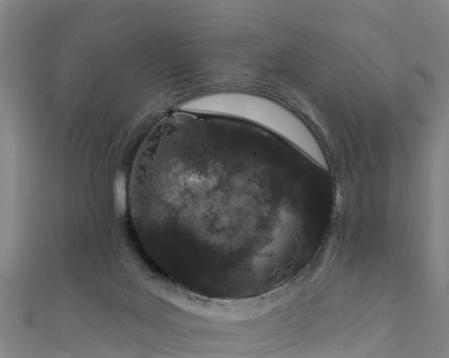 X0000110960027200906261351