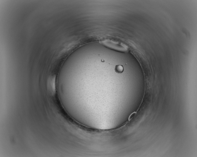 X0000110960028200906261351