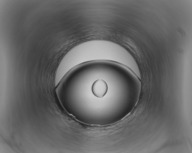 X0000110960029200906261351