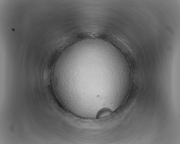 X0000110960030200906261351