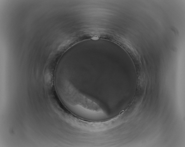 X0000110960031200906261351