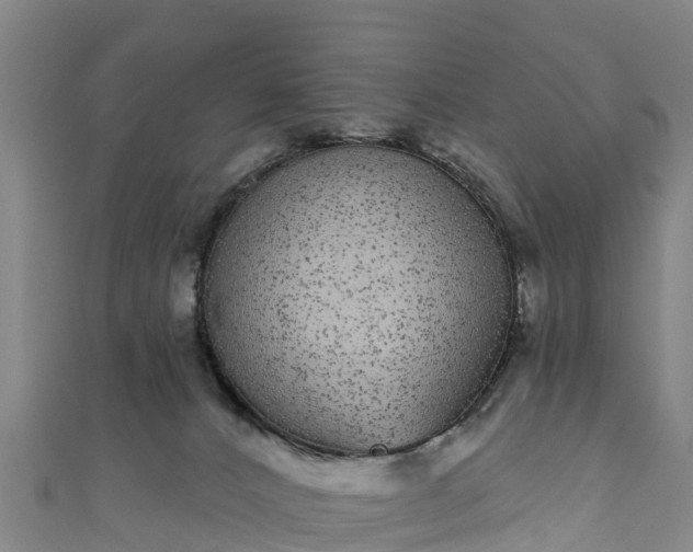 X0000110960032200906261351