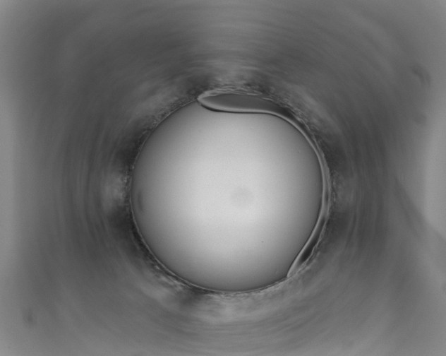 X0000110960033200906261351