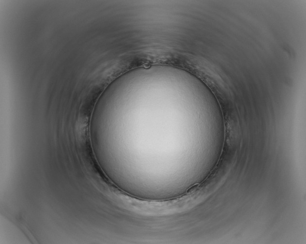 X0000110960034200906261351