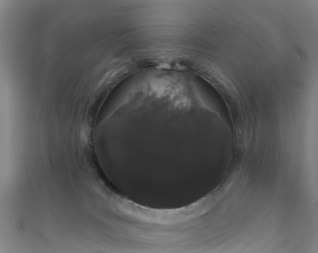 X0000110960035200906261351