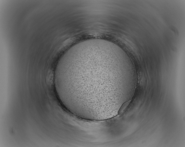 X0000110960036200906261351