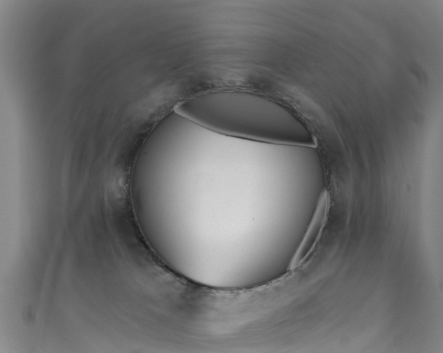 X0000110960037200906261351