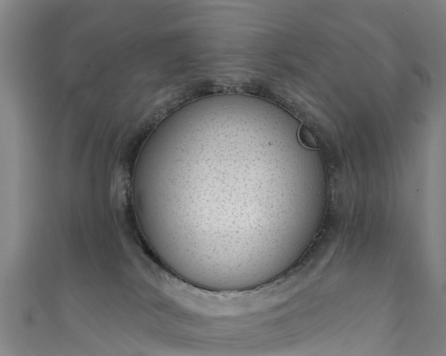 X0000110960038200906261351