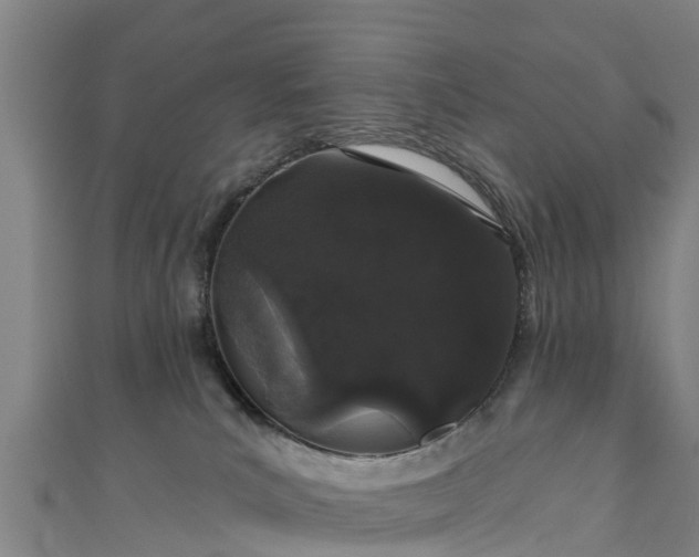 X0000110960039200906261351