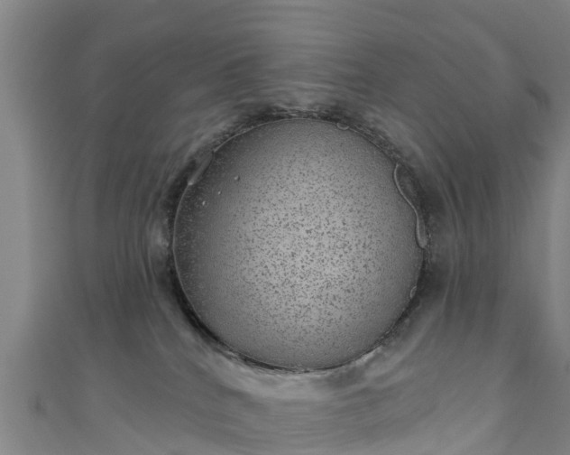 X0000110960040200906261351