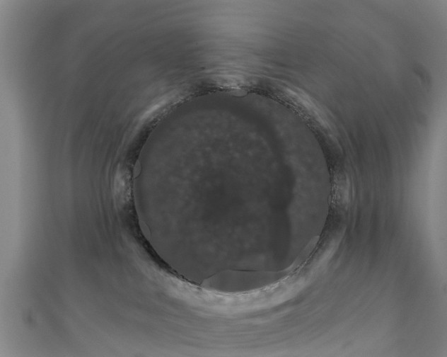 X0000110960043200906261350