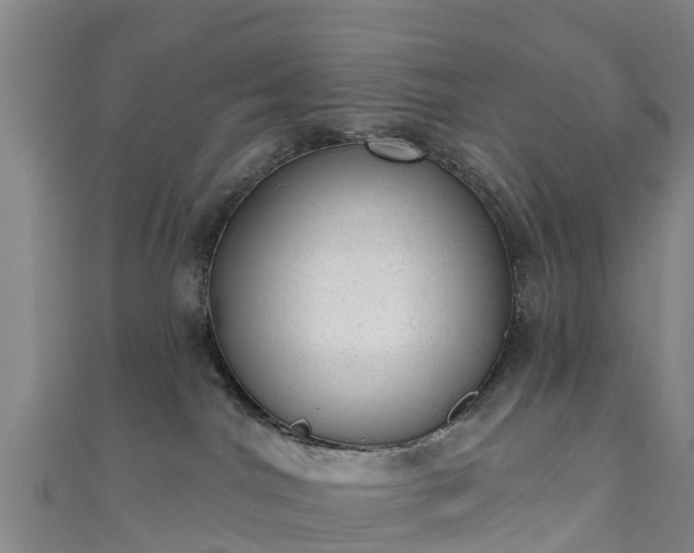 X0000110960044200906261350