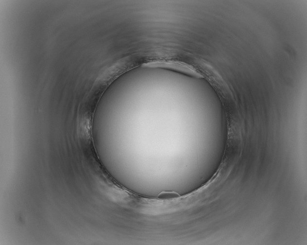 X0000110960045200906261350